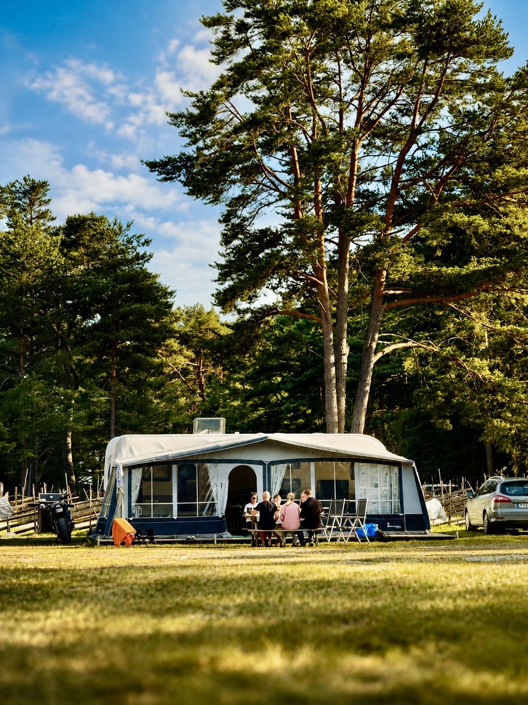 Camping bland tallarna