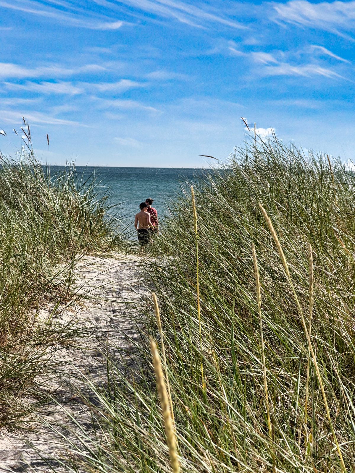 Vägen ner mot stranden